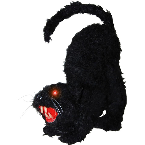 Black Cat With Lights And Sound