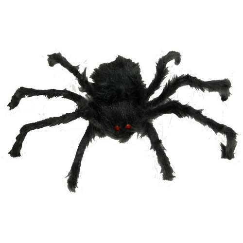 Black Furry Spider