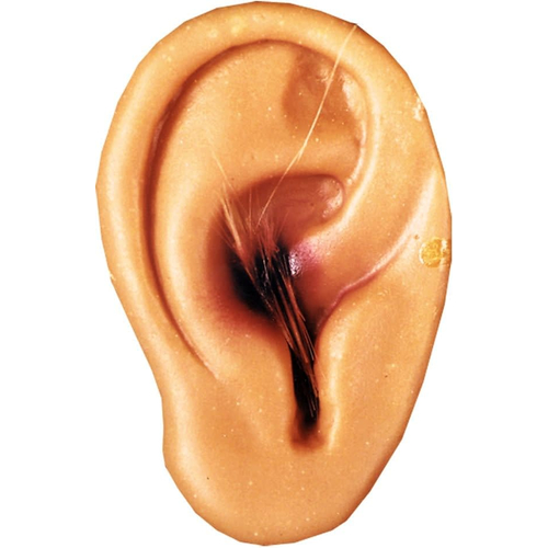 Cut Off New Ear
