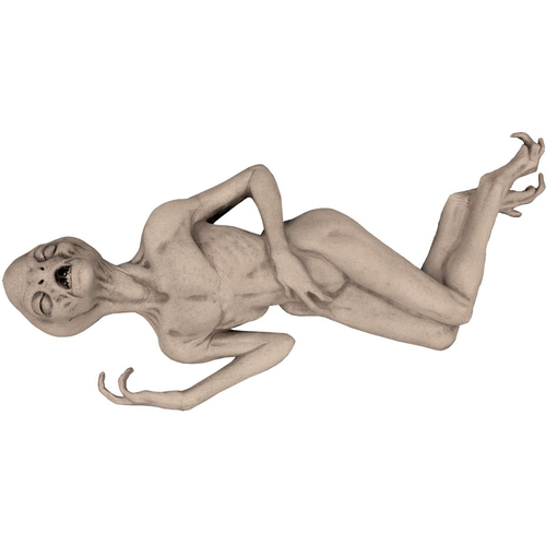 Dead Humanoid
