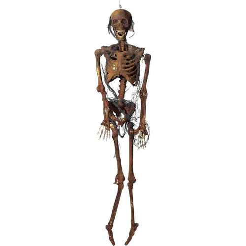 Desiccated Corpse Light Up