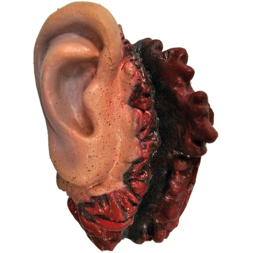Ear
