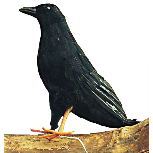 Foam Crow