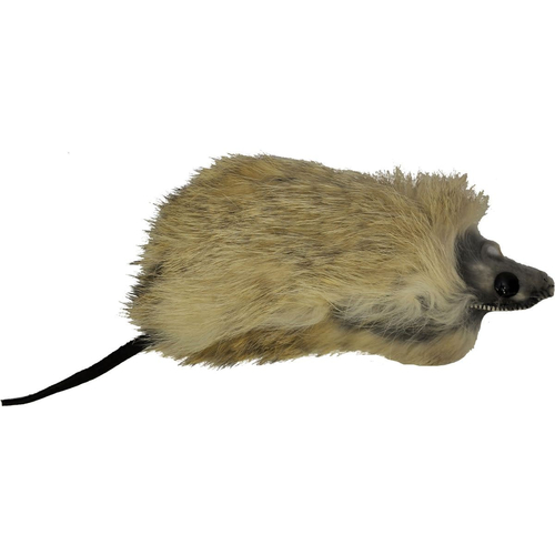 Furry Mouse