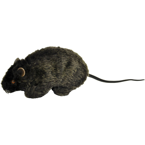 Furry Rat