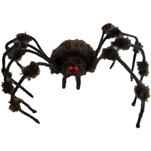Hairy Grey Spider