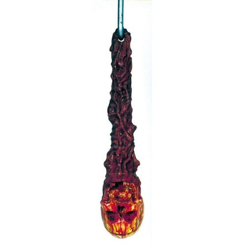 Hanging Bowel Skull