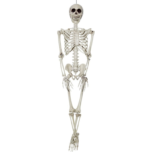 Hanging Skeleton