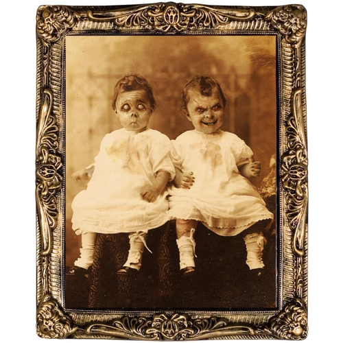 Holographic Twins Portrait 17X21
