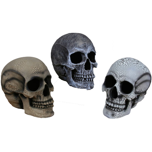 Human Skull Light Up Small White