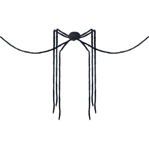 Long Legged Black Spider