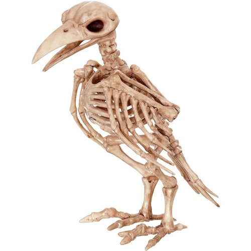Raven Skeleton Prop.