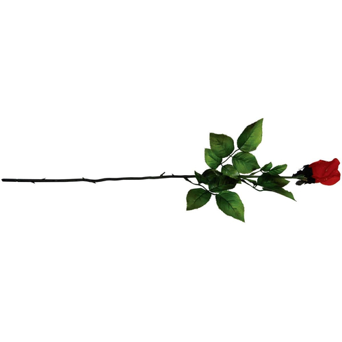 Rose Of Darkness Red