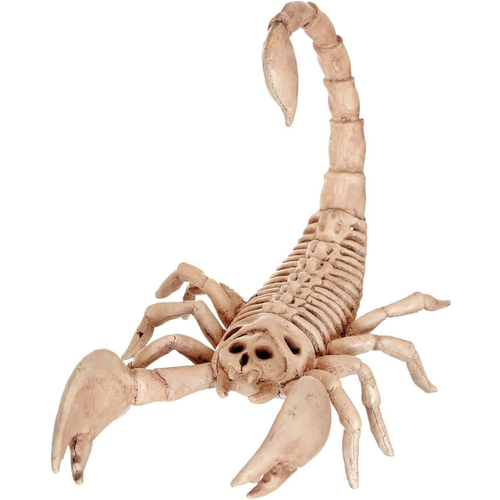 Scorion Form Skeleton
