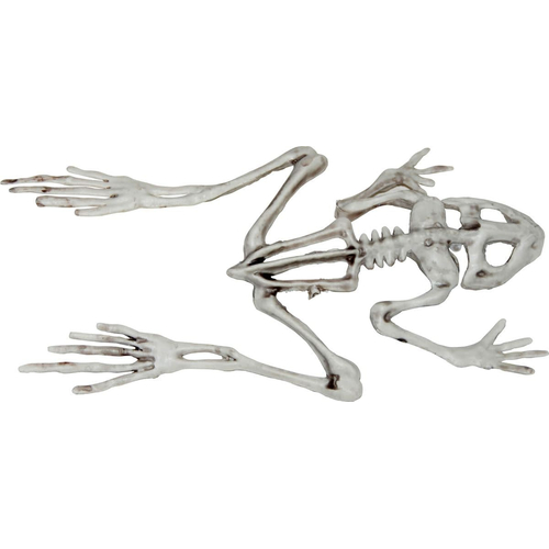 Skeleton Frog