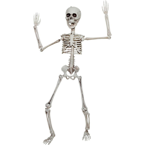 Skeleton