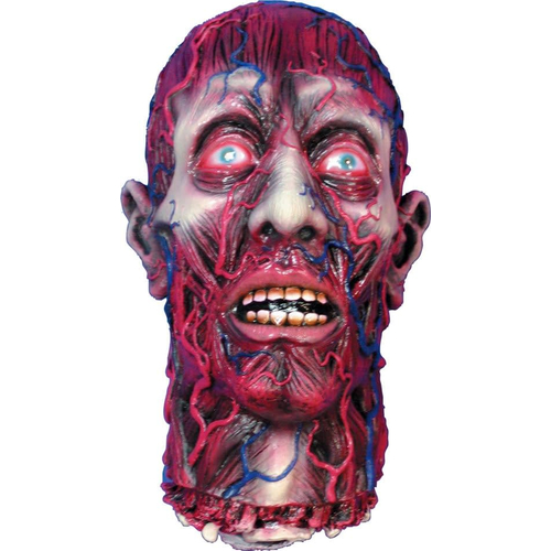 Skinned Head. Halloween Heads.