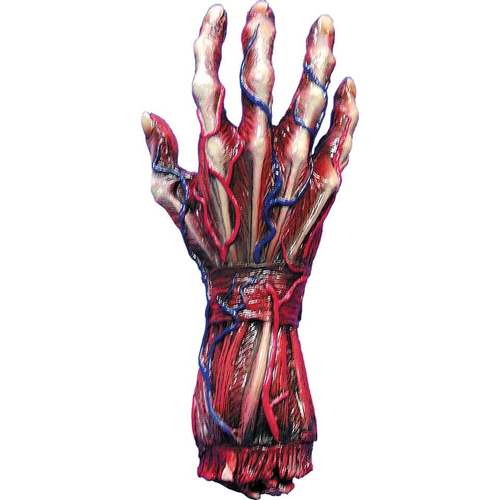 Skinned Right Hand