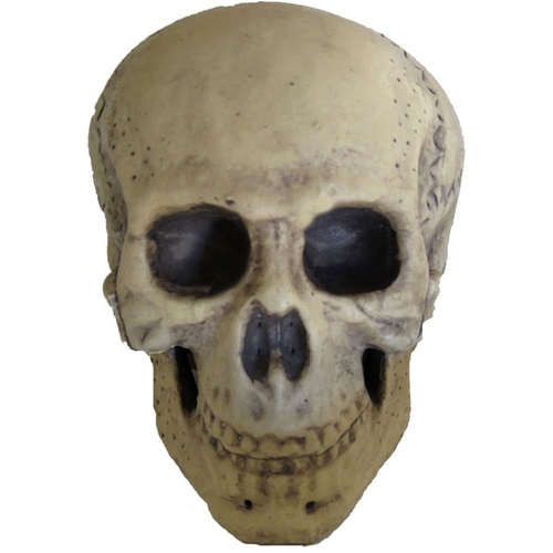 Smiley Skull