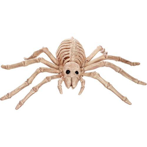 Spider Form Skeleton