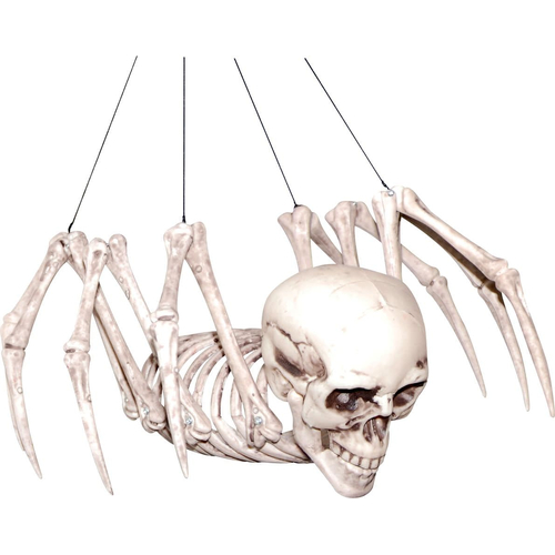 Spider Skeleton