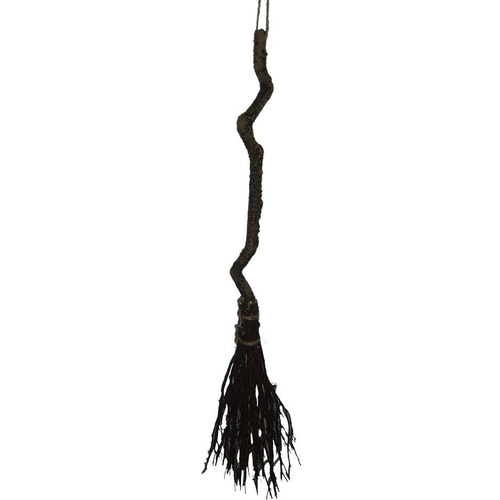 Witch Broom