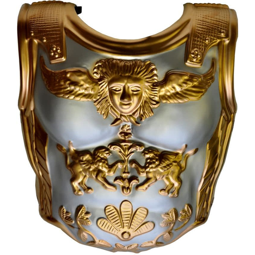 Chest Plate 2 Pc Set