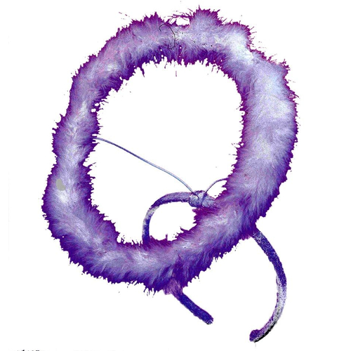 Halo Marabou White