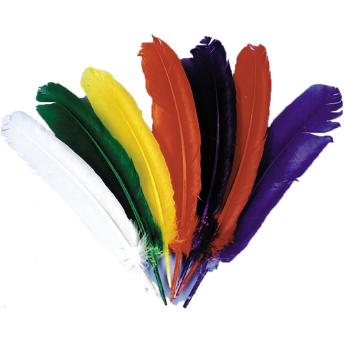 Indian Feathers Blue