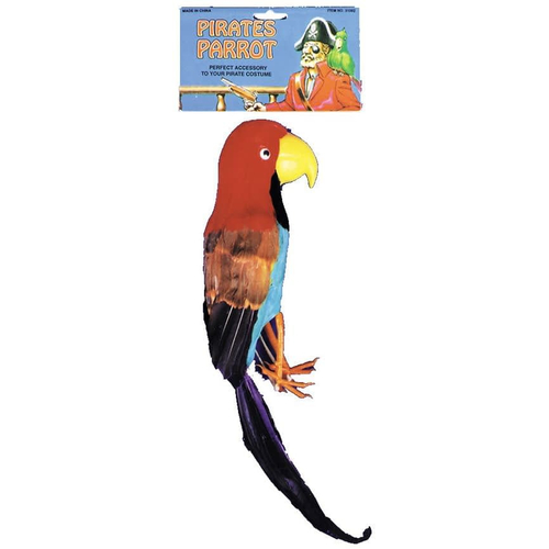 Parrot Pirate
