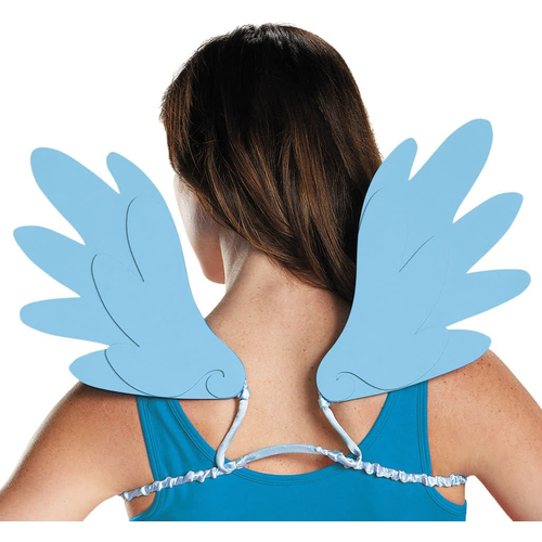Rainbow Dash Adult Wings