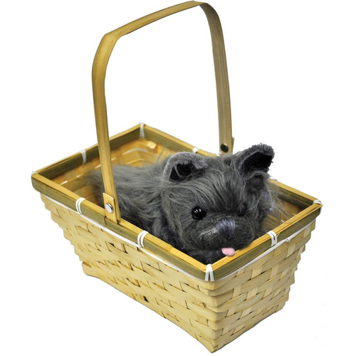 Toto W Basket Economy