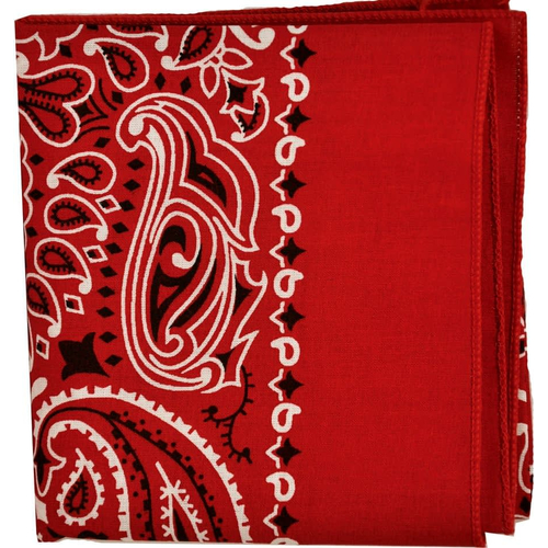 Bandana Blue