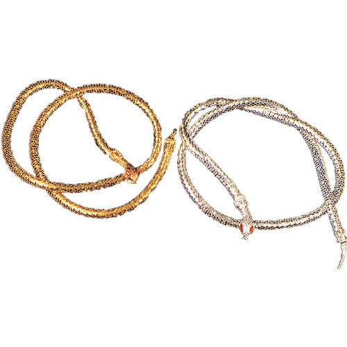 Belt Snake Gold