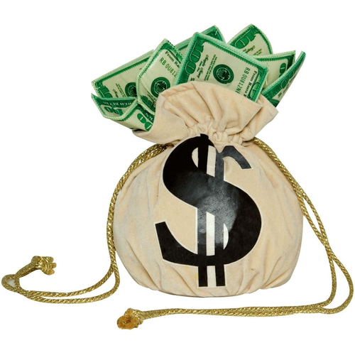 Purse Money Bag