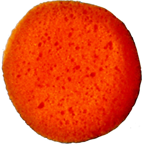 Sponge Cosmetic