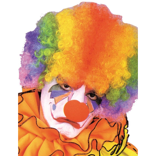 Afro Rainbow Wig For Adults