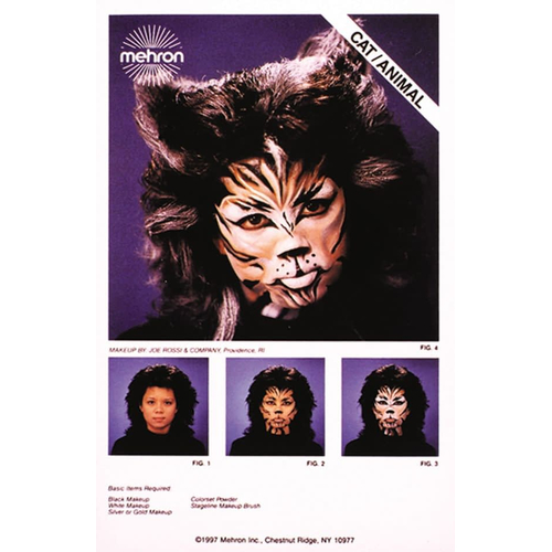 Instruction Sheets Cat Animal
