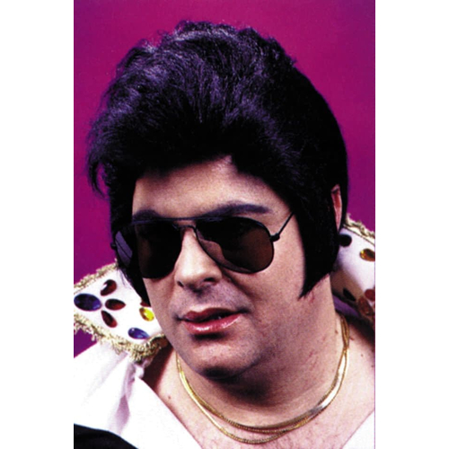 Wig For Rock N Roll Stars