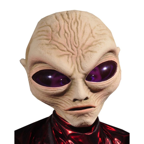 Alien Grey Mask For Adults - 18352