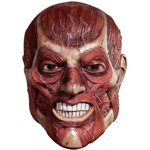 Skinner Mask For Halloween