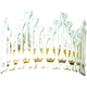 Crown Of Bones For All