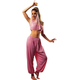 Arabian Princess Costume For Adults