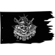 Pirates of The Caribbean Pirate Flag