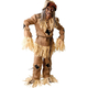 Scarecrow Halloween Adult Costume