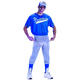 Baseball Nuts Adult Costume