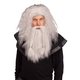 Viking Wig & Beard Grey