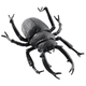 Black Beetle 8 inches