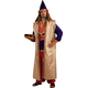 Classic Wiseman Adult Costume