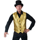 Disco Vest Gold Adult